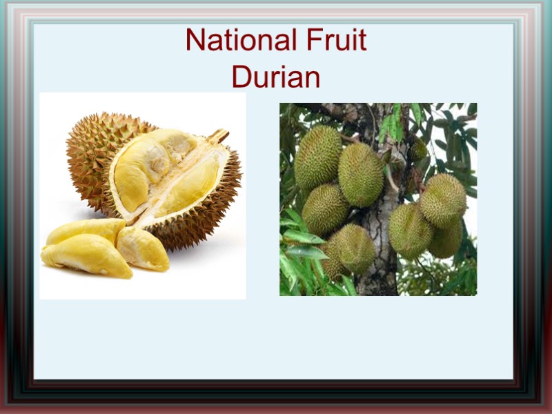 National Fruit Durian